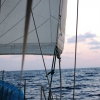 Fin segling