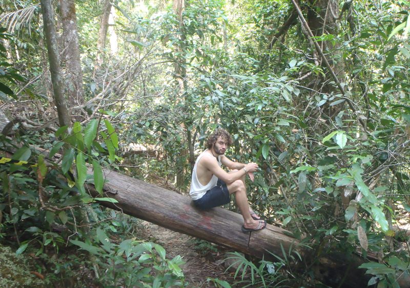 Fikapaus i djungeln